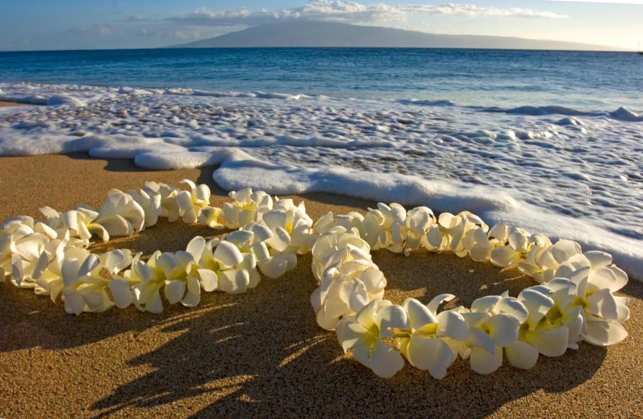 Cozy Waikiki Getaway, Stroll To Beach With Free Parking Honolulu Exterior foto